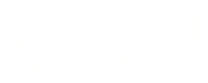 Girassol Case